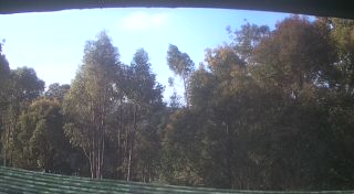 View from rooftop at Home