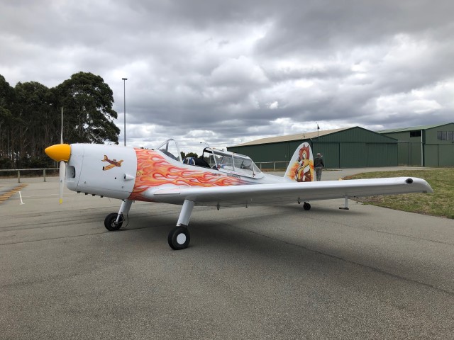 DHC1 Dehavilland Chipmunk
